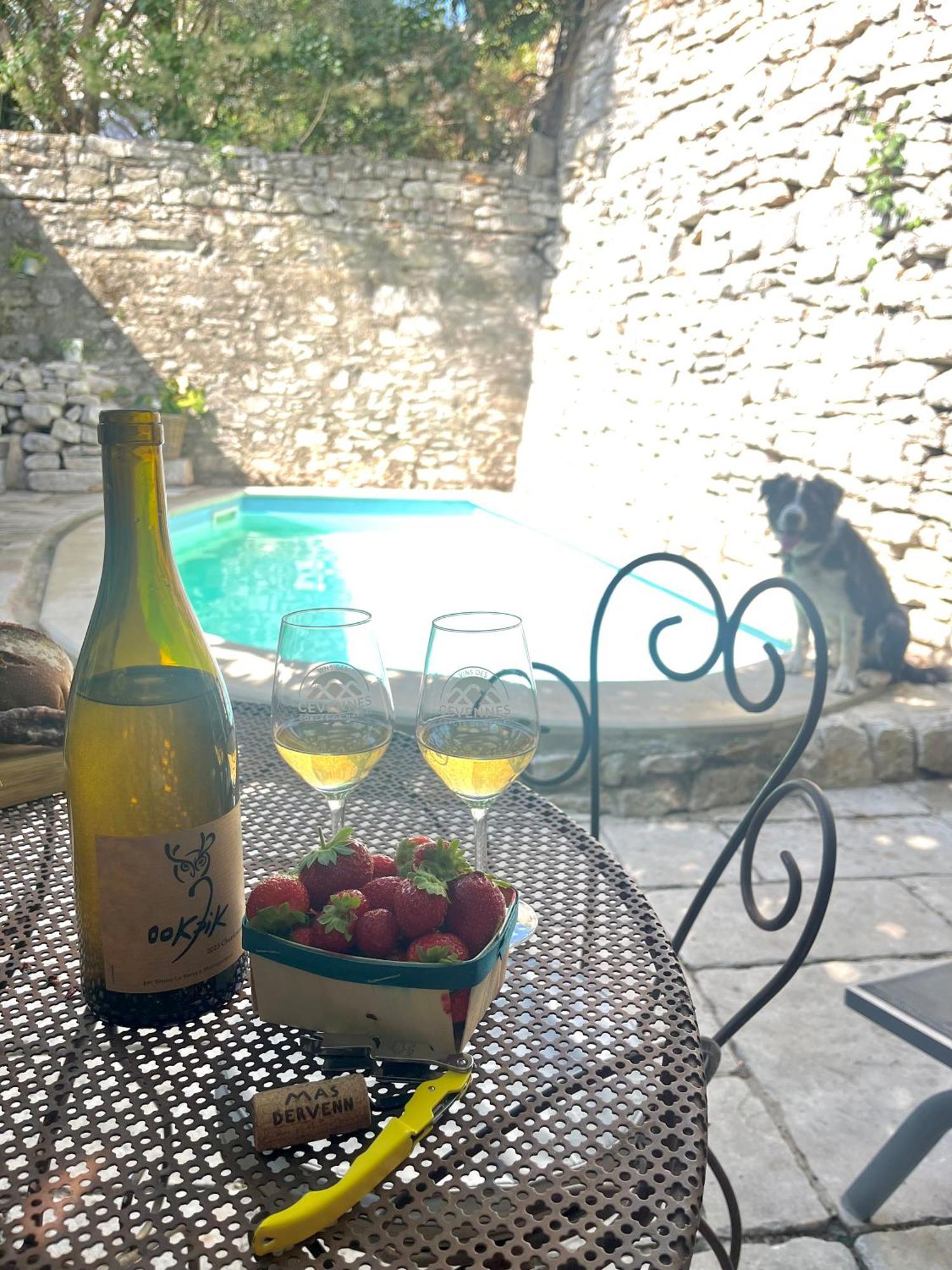 Apartment Maison Du Vigneron *